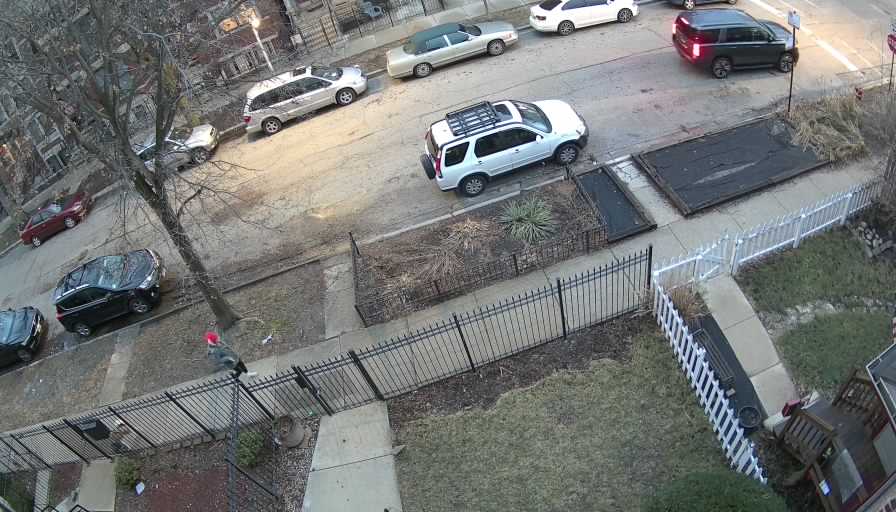 Reolink Camera One_00_Reolink Home Hub One_20260311190035.jpg